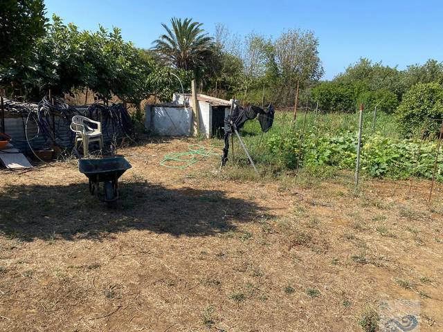 Finca rústica en Venta en El Almedral