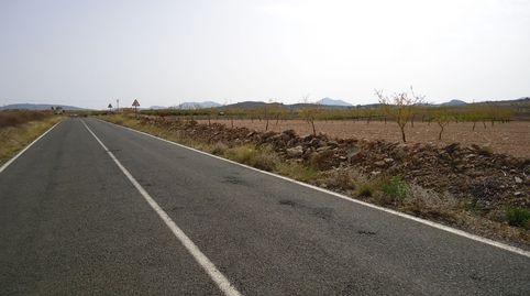 Finca de 60.205 m de olivos y almendros. Pozo propio legalizado., immagine 5