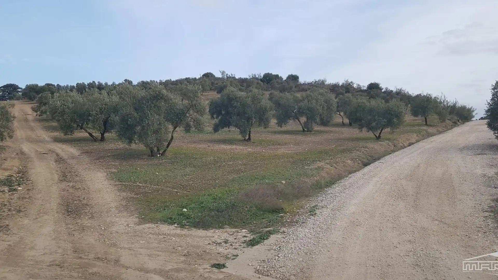 Land for sale in Partido del Barrancón, Pol.61, Par.92, 61, Jauja