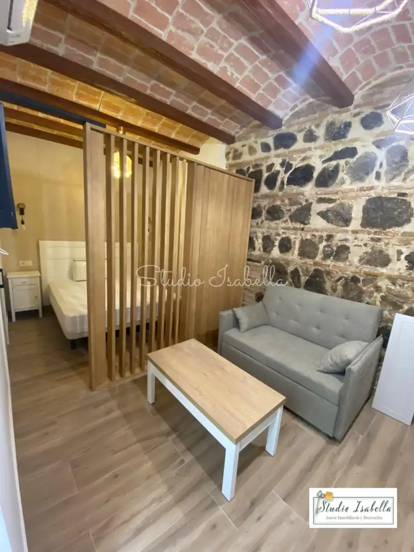 Living room of Lofts for rent in Toledo  with Air Conditioner, Heating and Furnished