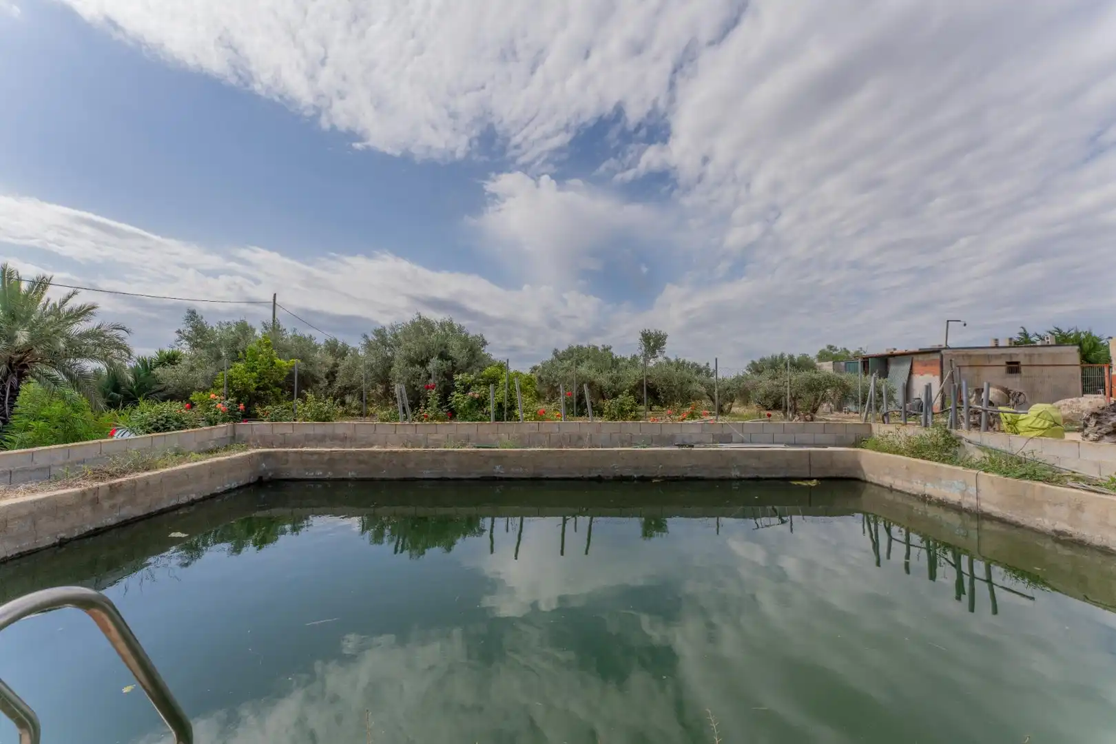 Piscina de Casa o xalet en venda en Crevillent amb Piscina