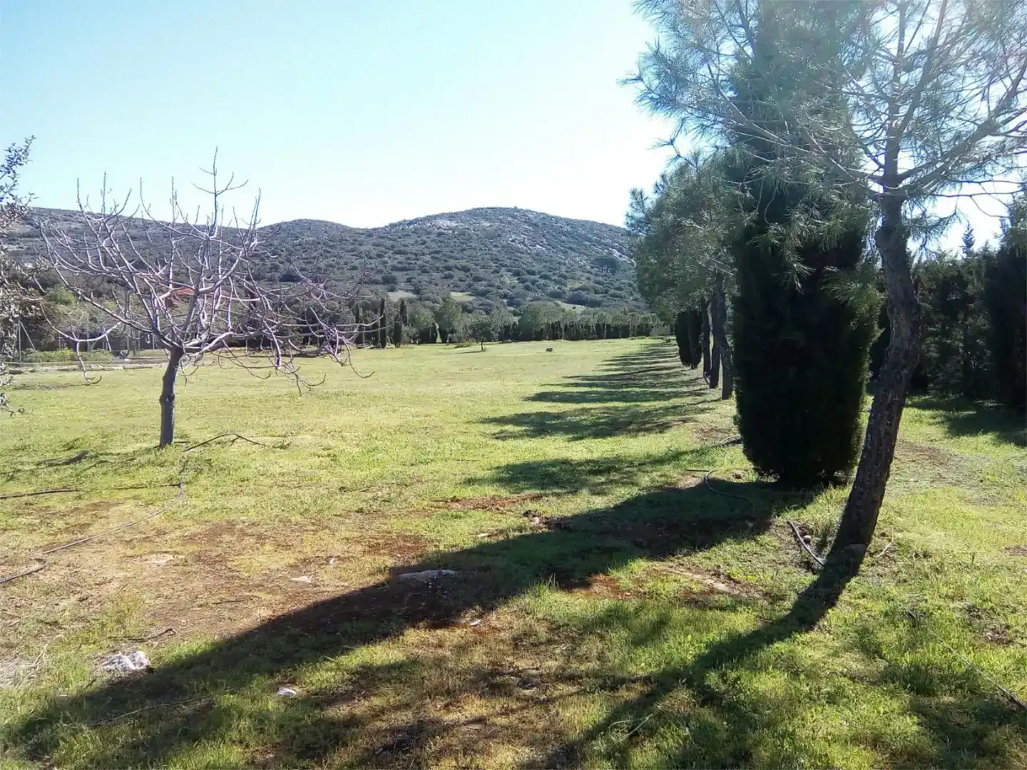 Land for sale in Moral de Calatrava