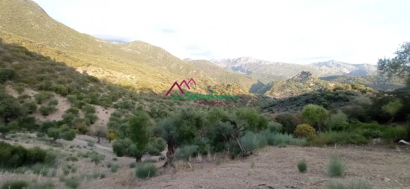 Terreni e lotti in vendita a Benaocaz, imagen 47