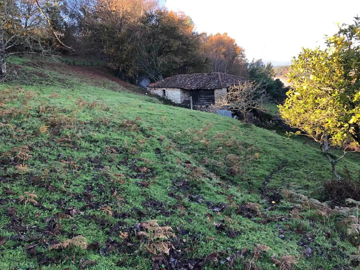 Casa rústica en venda a Silleda, imagen 3