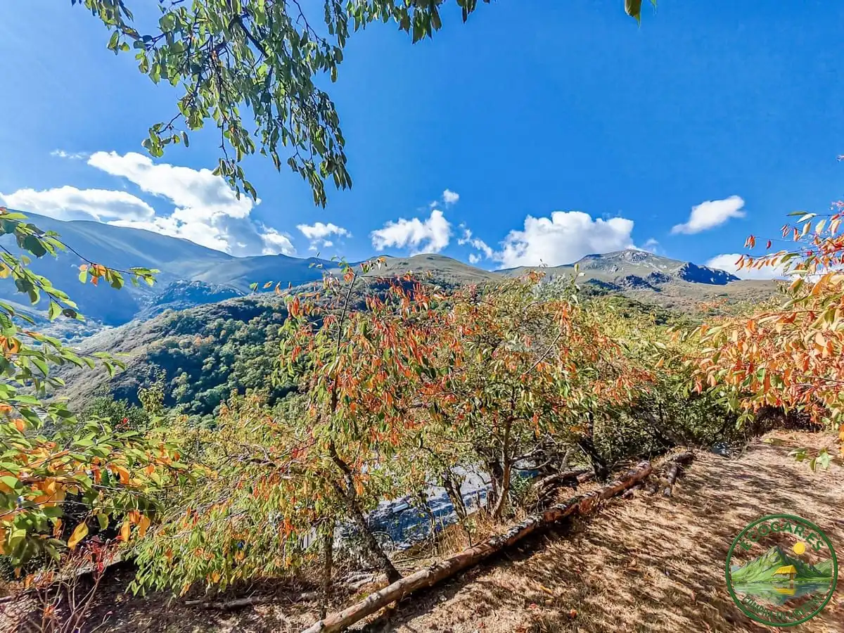 Vista exterior de Casa o xalet en venda en Ponferrada amb Calefacció, Jardí privat i Parquet