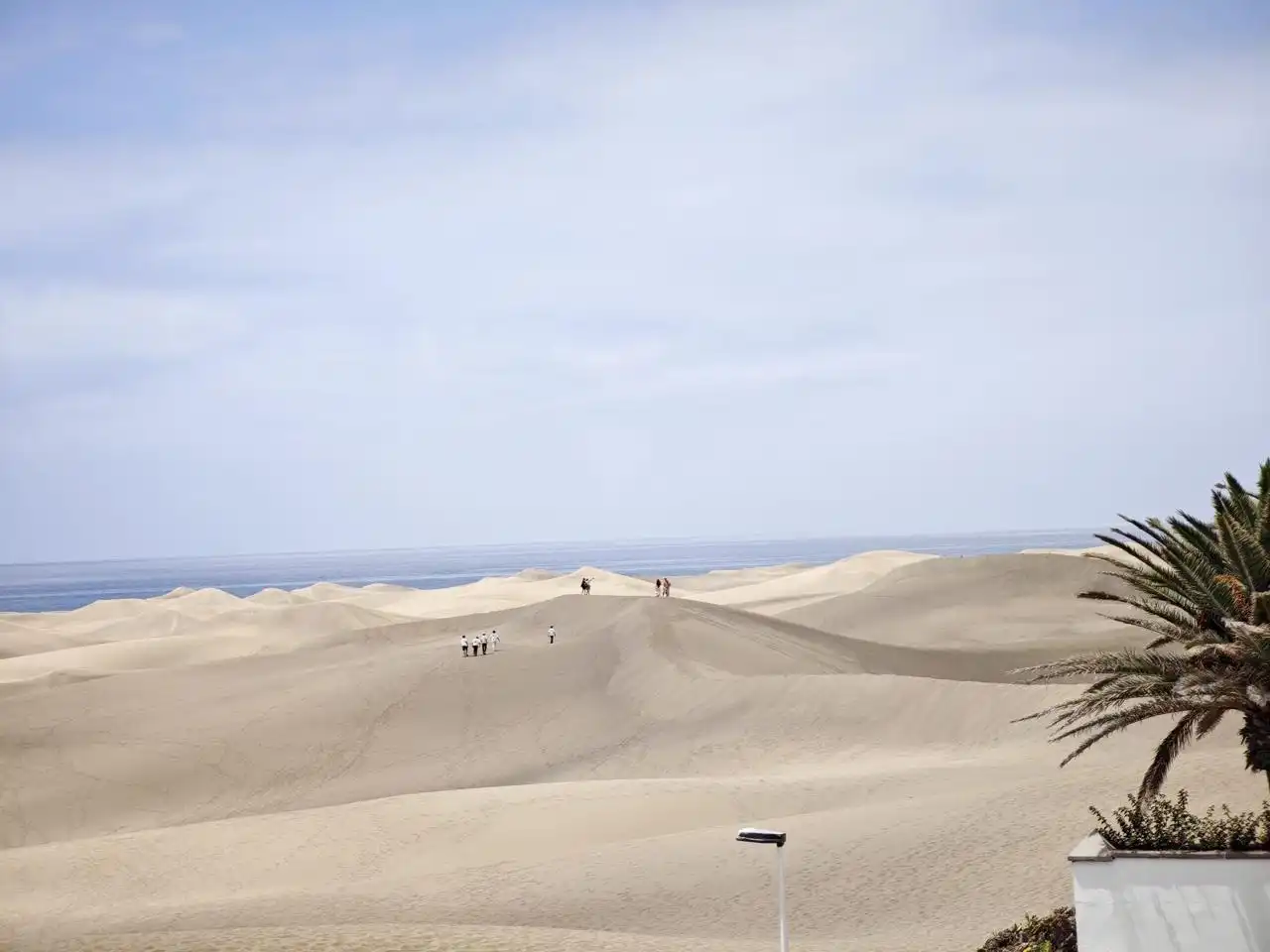 Vista exterior de Planta baja de alquiler en San Bartolomé de Tirajana con Terraza, Amueblado y Internet
