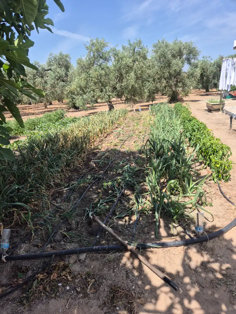 Garten von Residential zum Verkauf in Utrera