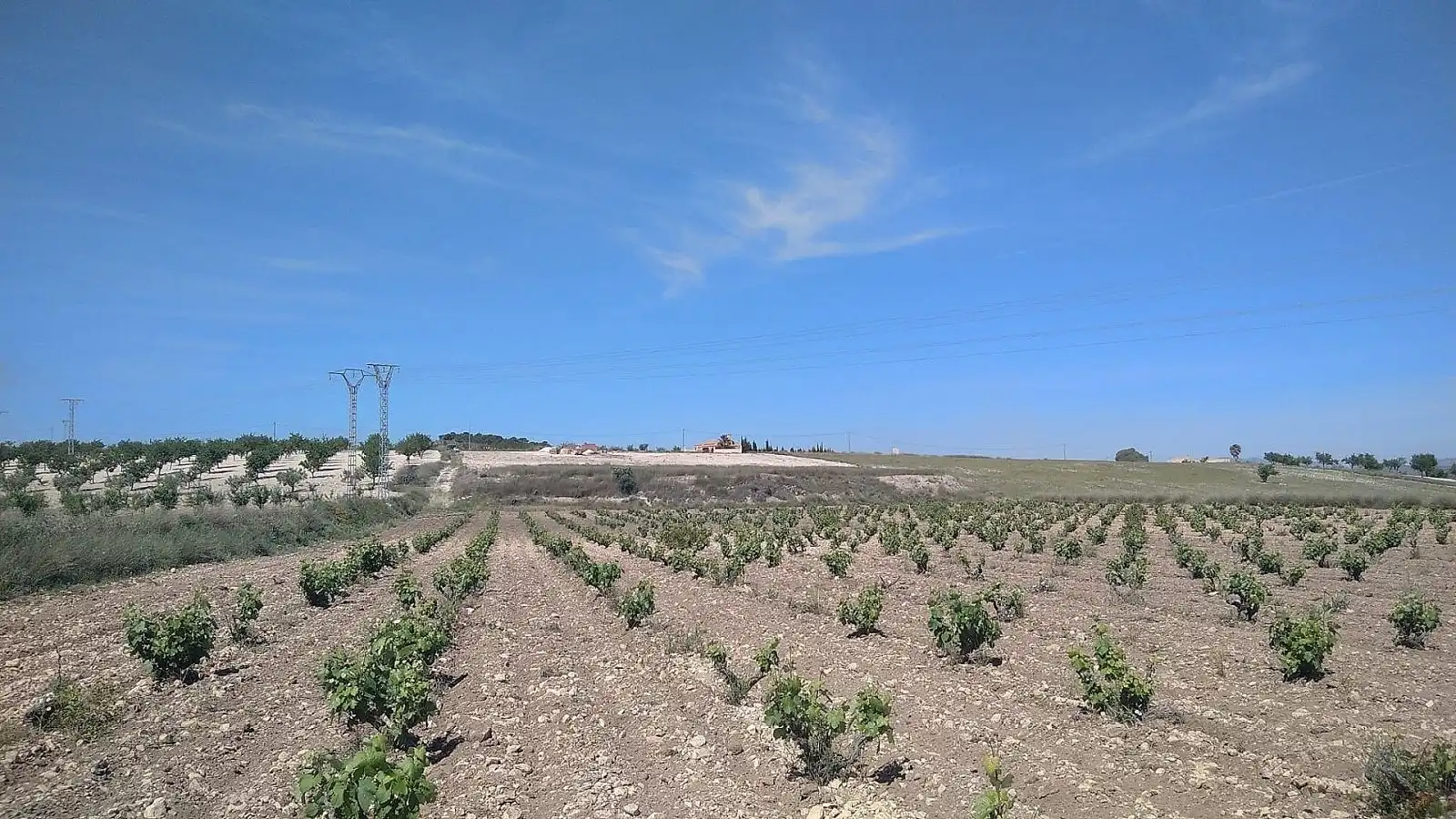 Xalet en venda a Jumilla, imagen 2