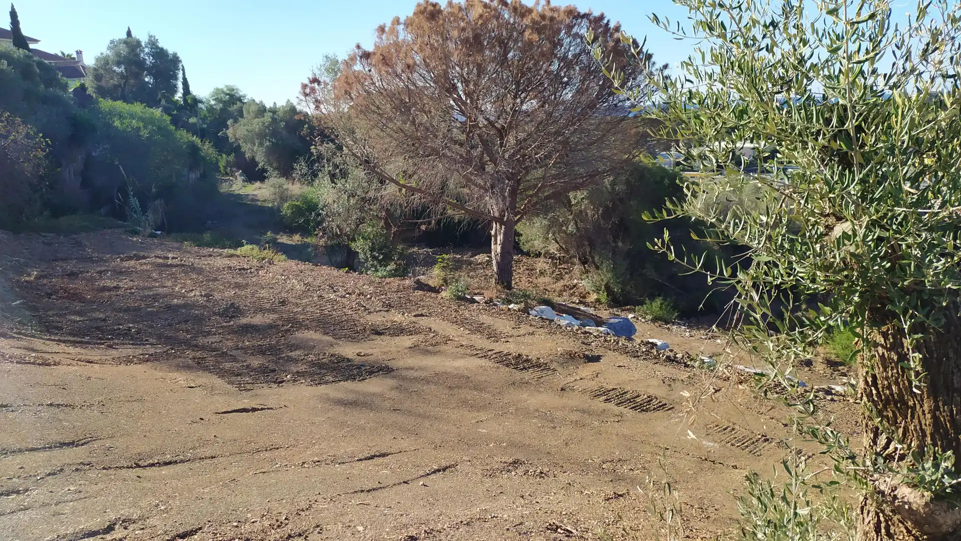 Terreni e lotti in vendita a 62 Calle José Medina, imagen 23