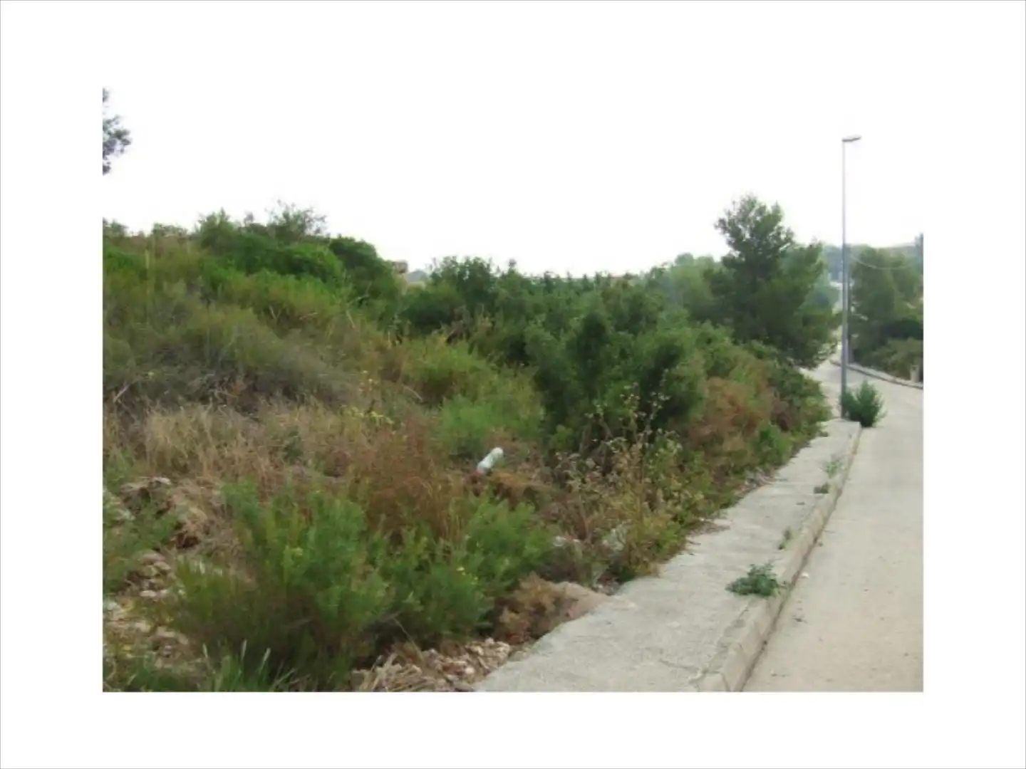 Terrenys i solars en venda a Alberic, imagen 6