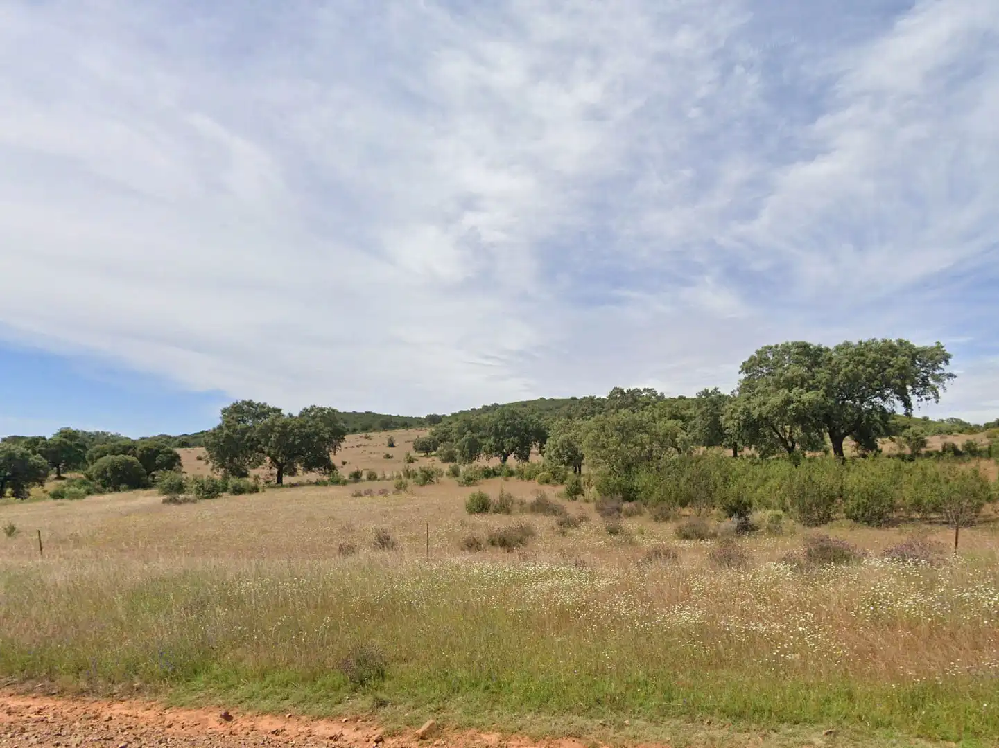 Terreny rústic en venda a Villanueva de la Serena, imagen 9
