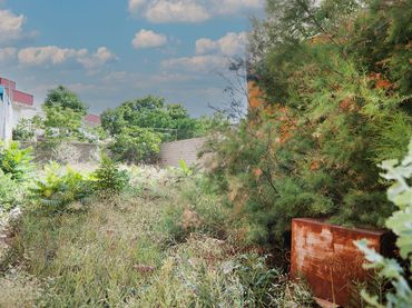 Rural land for sale in NUEVA