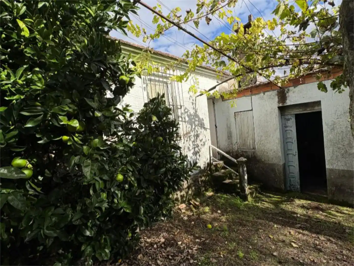 Vista exterior de Casa o xalet en venda en Carballeda de Avia