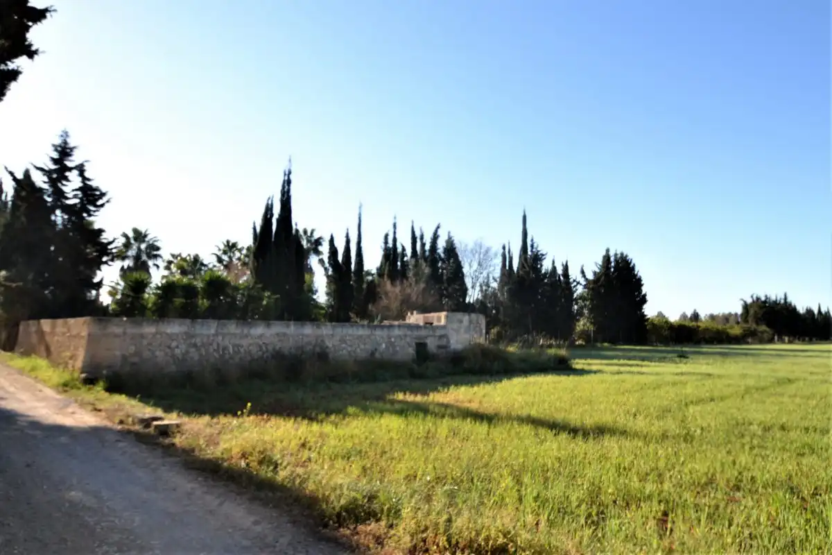 Maison rustique à vendre à Llubí, imagen 11
