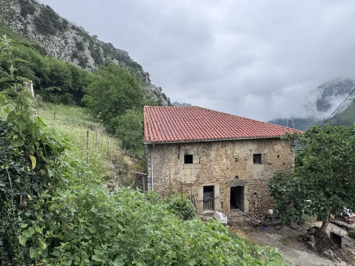 House for sale in Peñamellera Alta