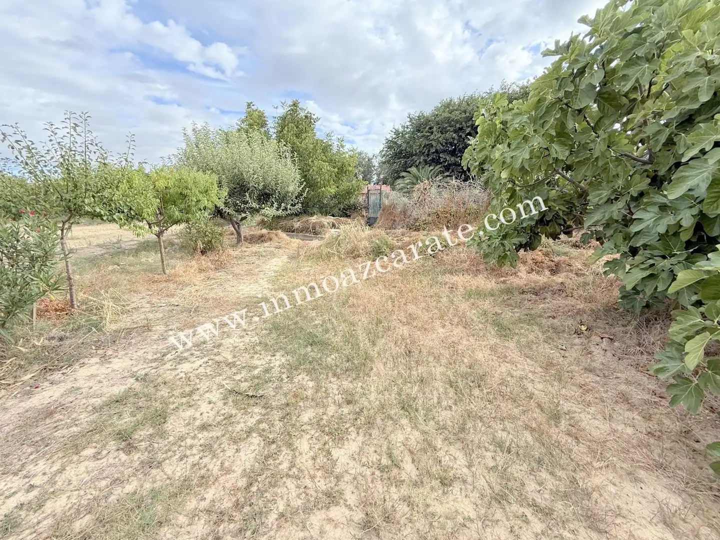 Terreno rustico in vendita a Lerín, imagen 9