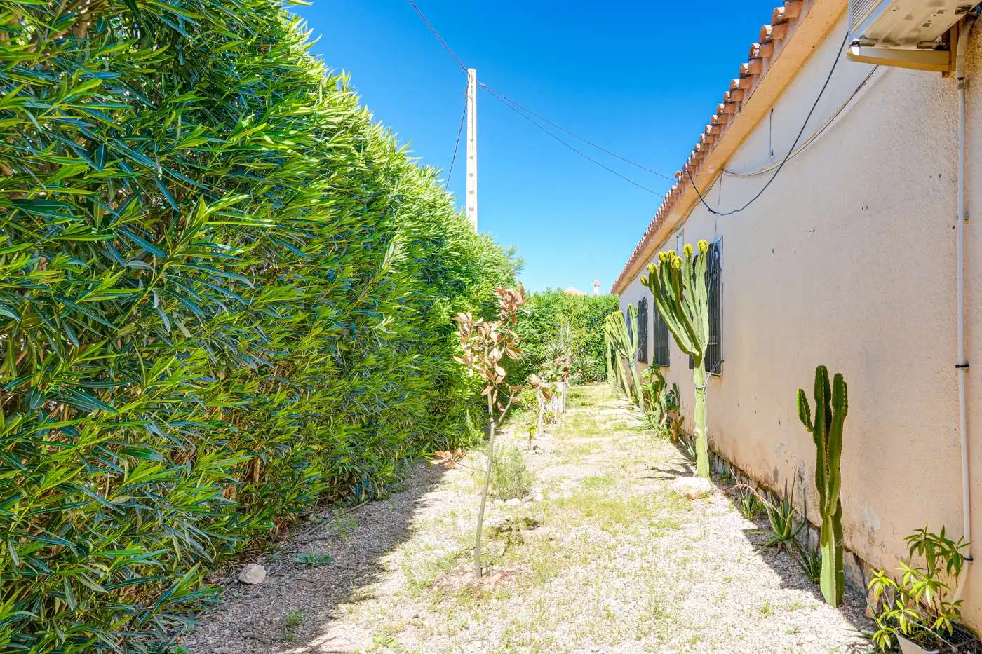 Vista exterior de Casa o chalet en venta en Mont-roig del Camp con Aire acondicionado, Jardín privado y Terraza