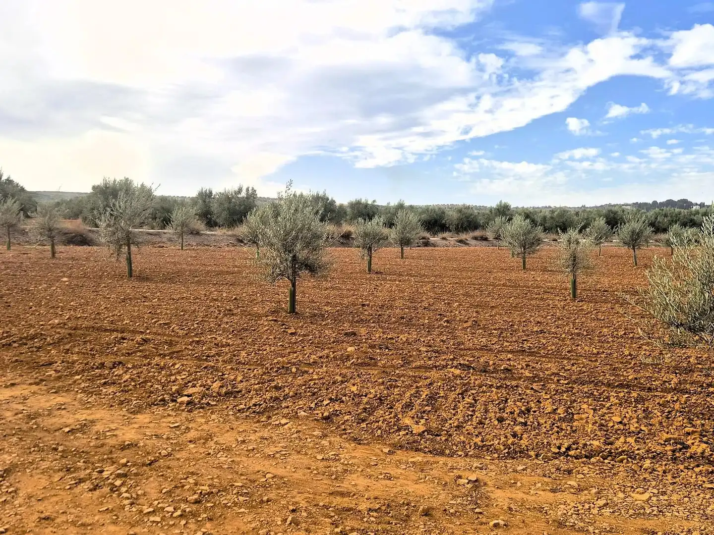 Terreny rústic en venda a Moraleda de Zafayona, imagen 7