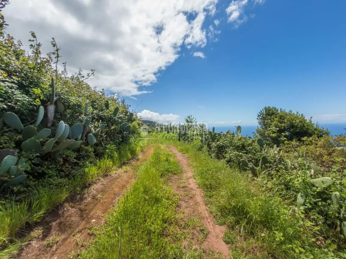 Land for sale in Icod de los Vinos