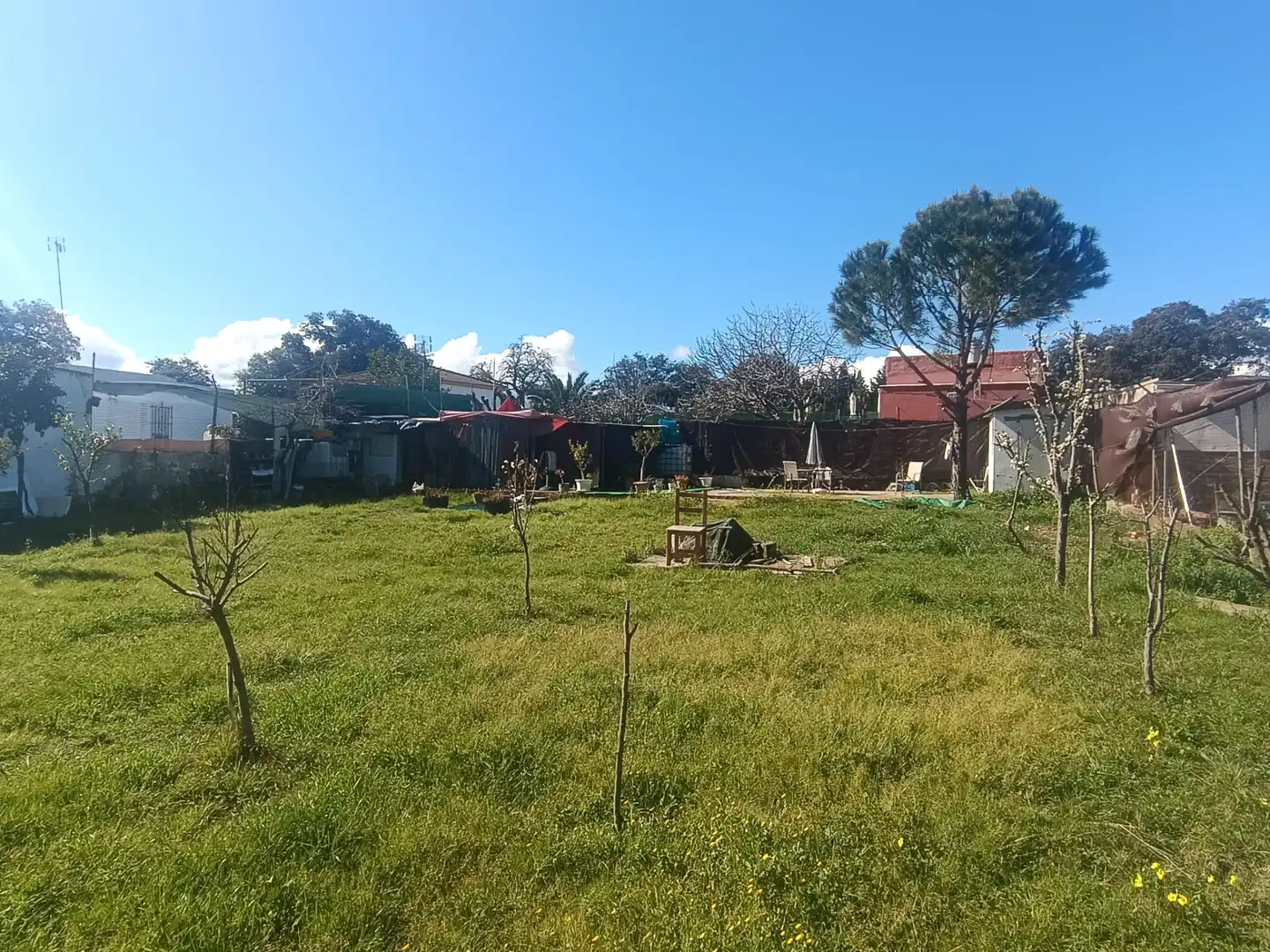 Terreni e lotti in vendita a Castilblanco de los Arroyos, imagen 3