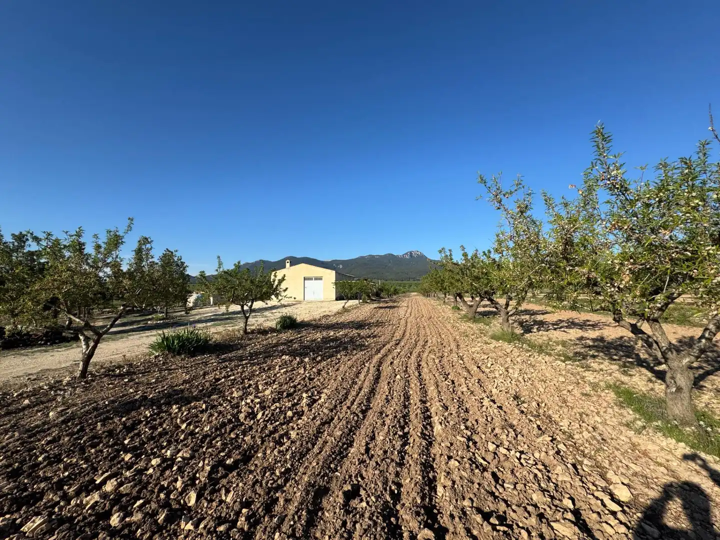 Casa con jardín en venta en Moratalla, imagen 13