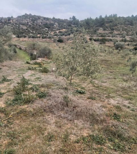 Foto 2 von Grundstücke zum Verkauf in Carrer Juncosa, 96, L'Albagés, Lleida