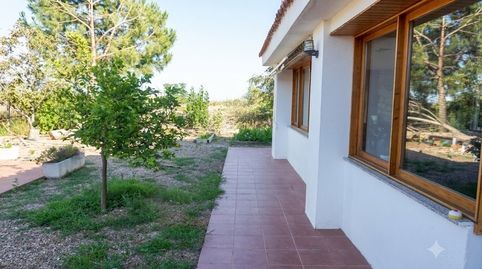 Foto 4 de Finca rústica en venda a Polígono 3 Paraje 7 Hortas, Montbrió del Camp, Tarragona