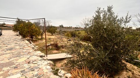 Photo 3 of Houses for sale in Partida de Matola, La Algoda - Matola - Llano de San José, Elche / Elx