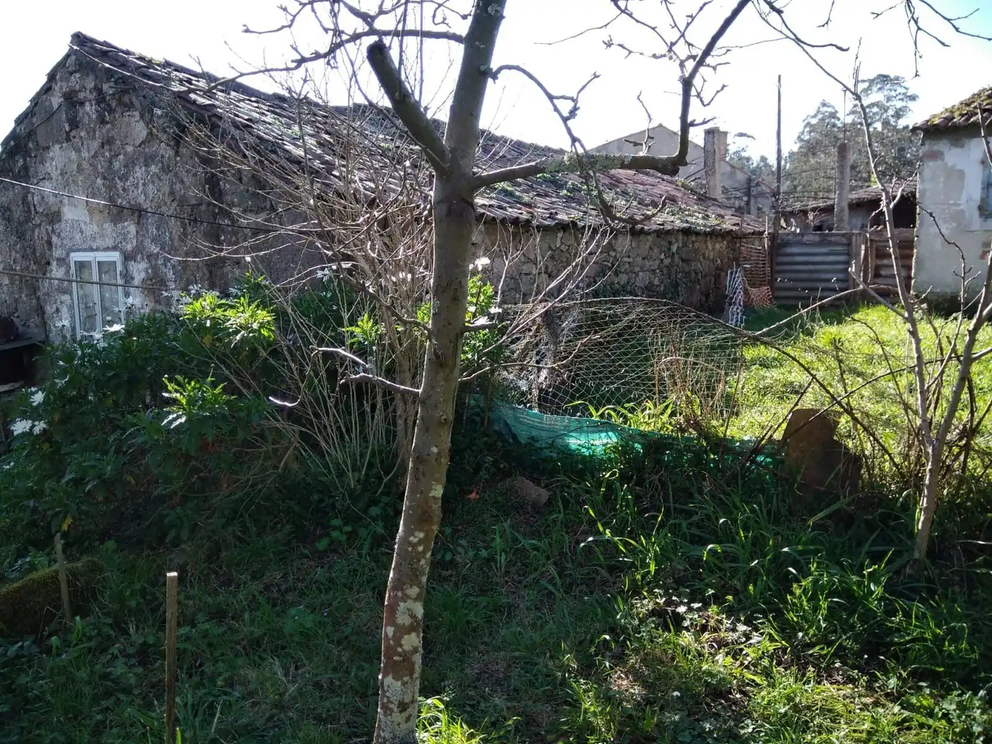 Finca rústica en venta en Barro con Jardín privado