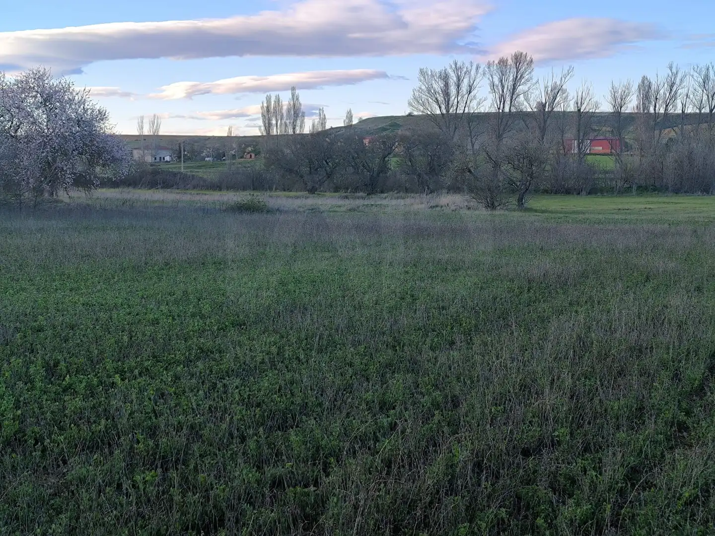Terreno en venta en Pajares de los Oteros