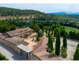 Jardí de Casa o xalet en venda en Jorba amb Terrassa i Piscina