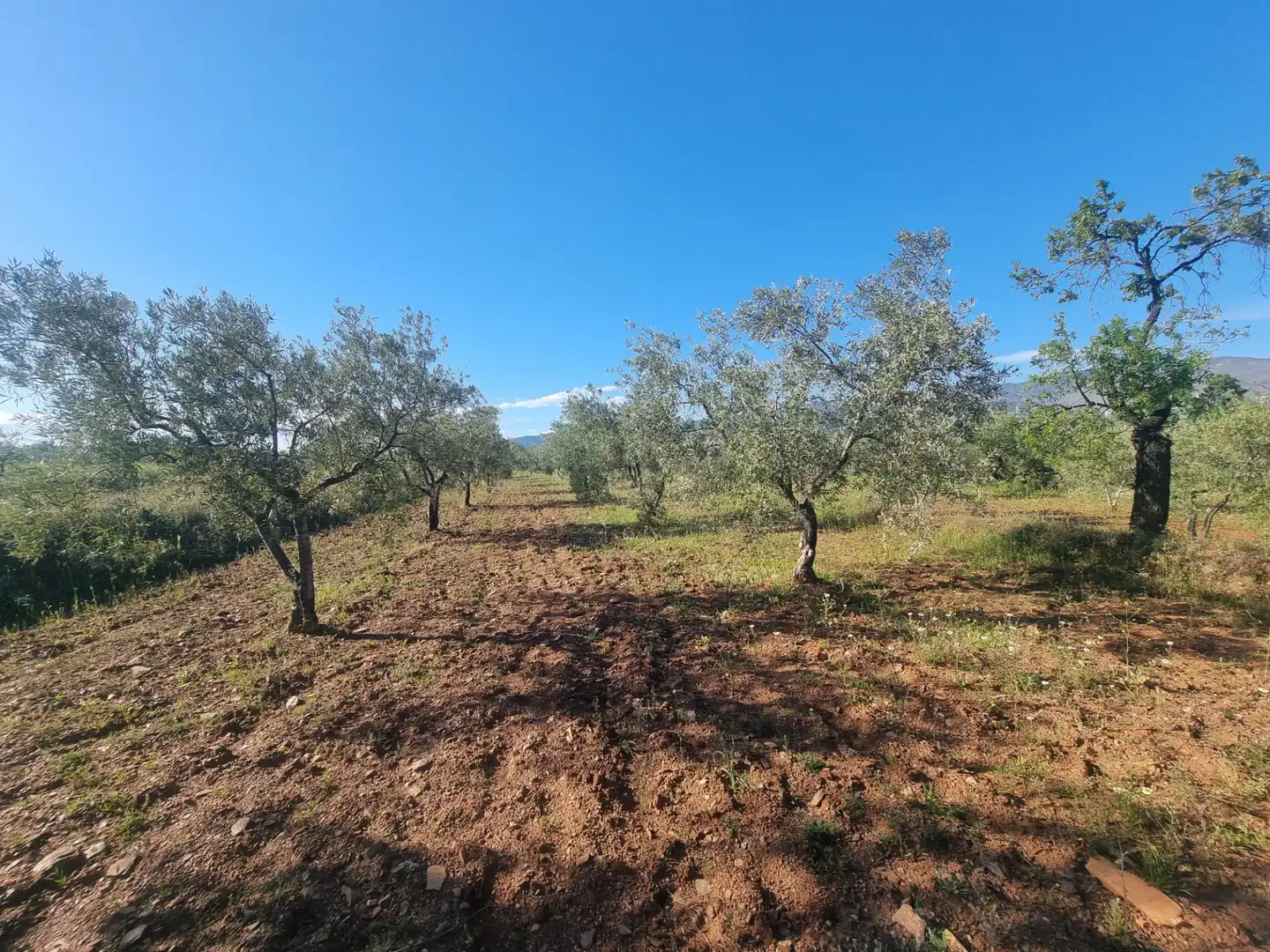 Terreno en venta en Abrucena