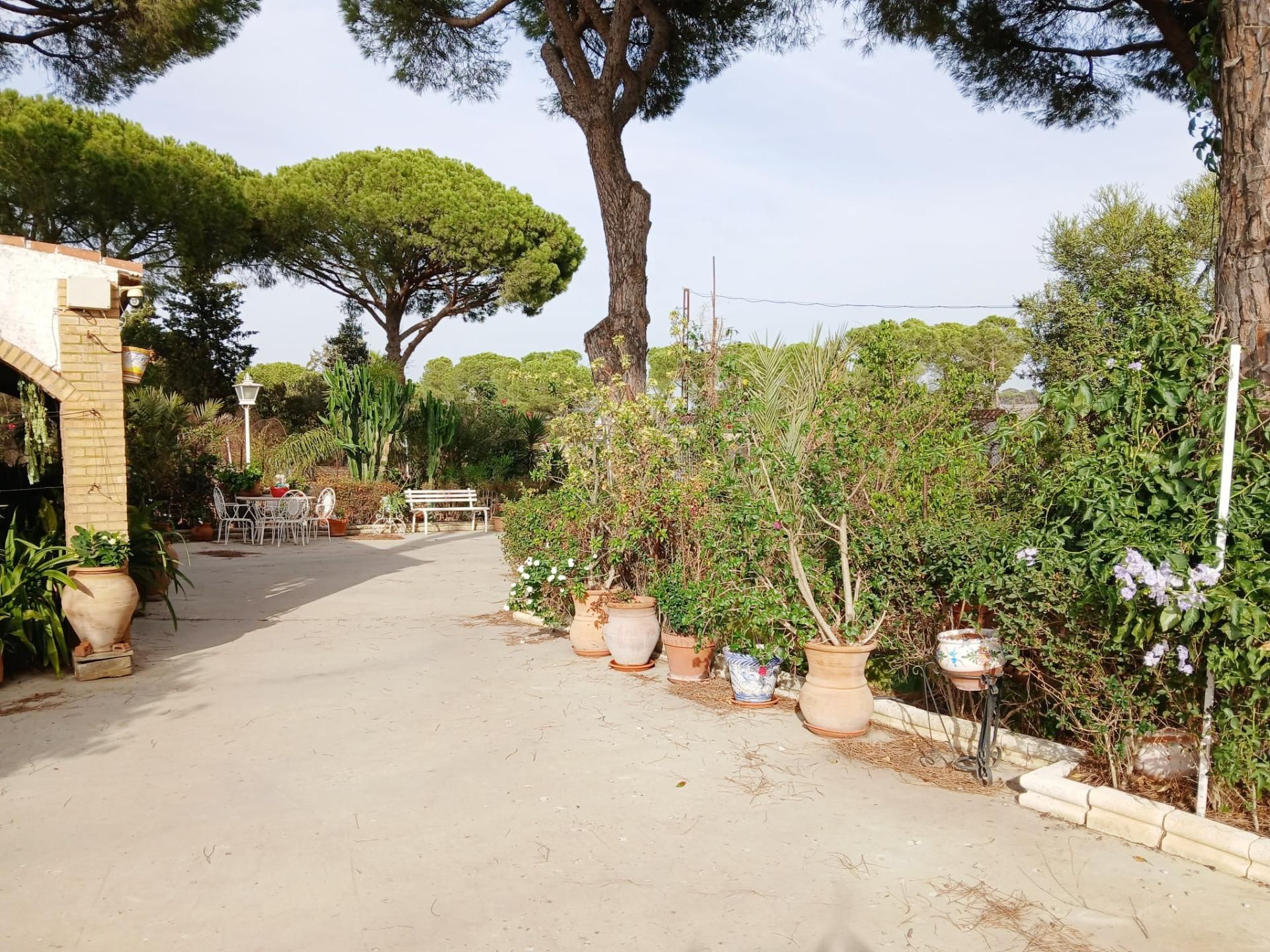 Garten von Country house zum verkauf in Bonares mit Privatgarten