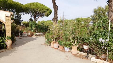 Foto 2 de Finca rústica en venda a Bonares, Huelva