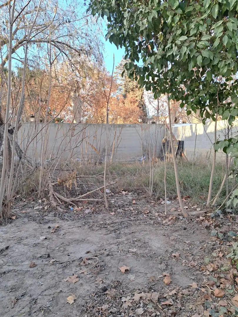 Wohnbaugrundstück zum Verkauf in Calle Alameda, imagen 5