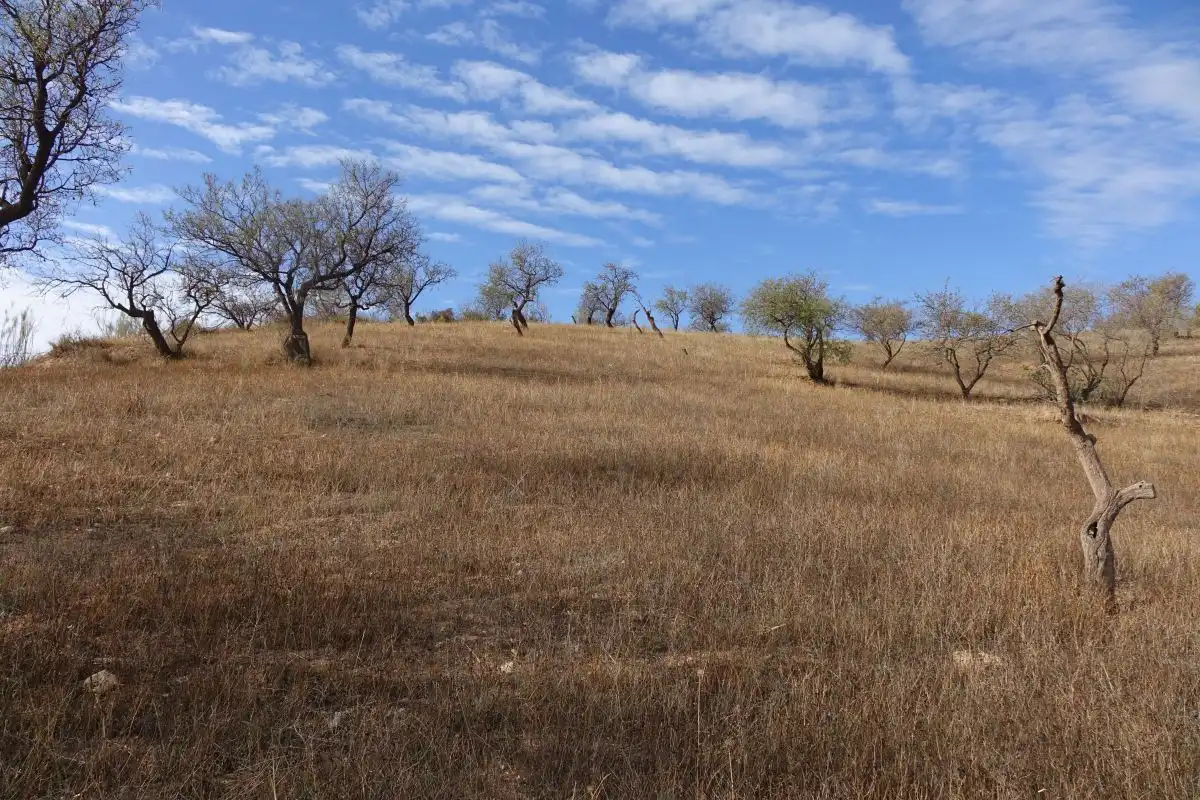 Finca rústica en venta en Lanjarón