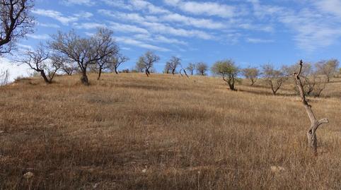 Foto 2 de Finca rústica en venta en Lanjarón, Granada