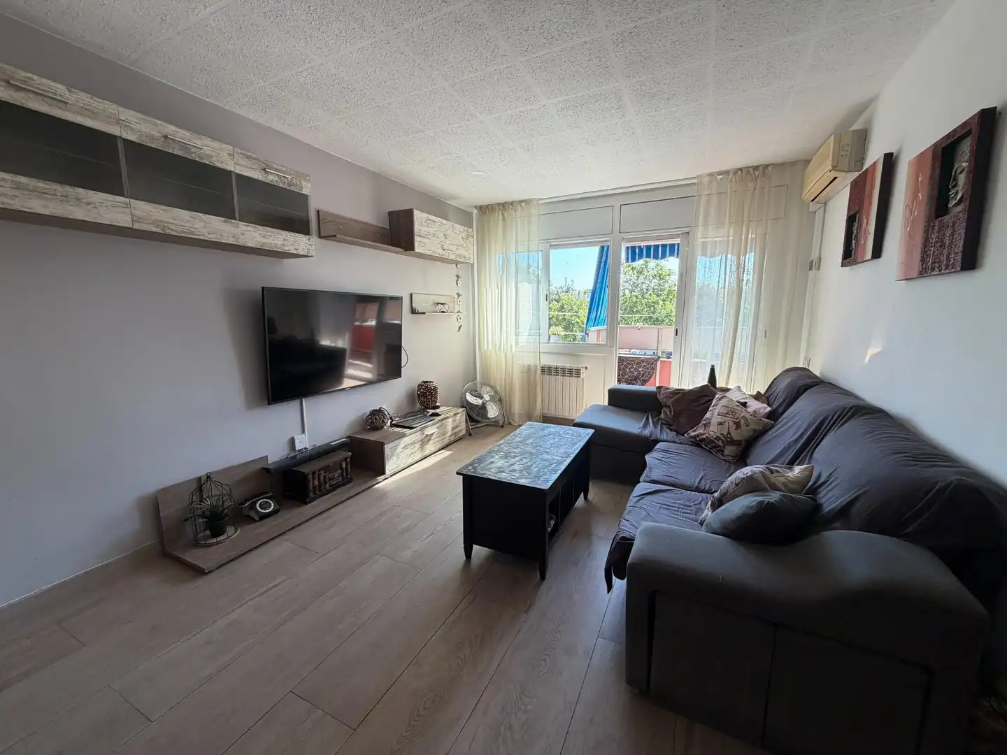 Sala d'estar de Pis en venda en Terrassa amb Balcó i Alarma