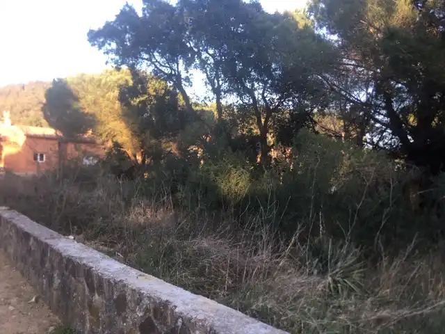 Terreny rústic en venda a Urb Sant Miquel, imagen 8