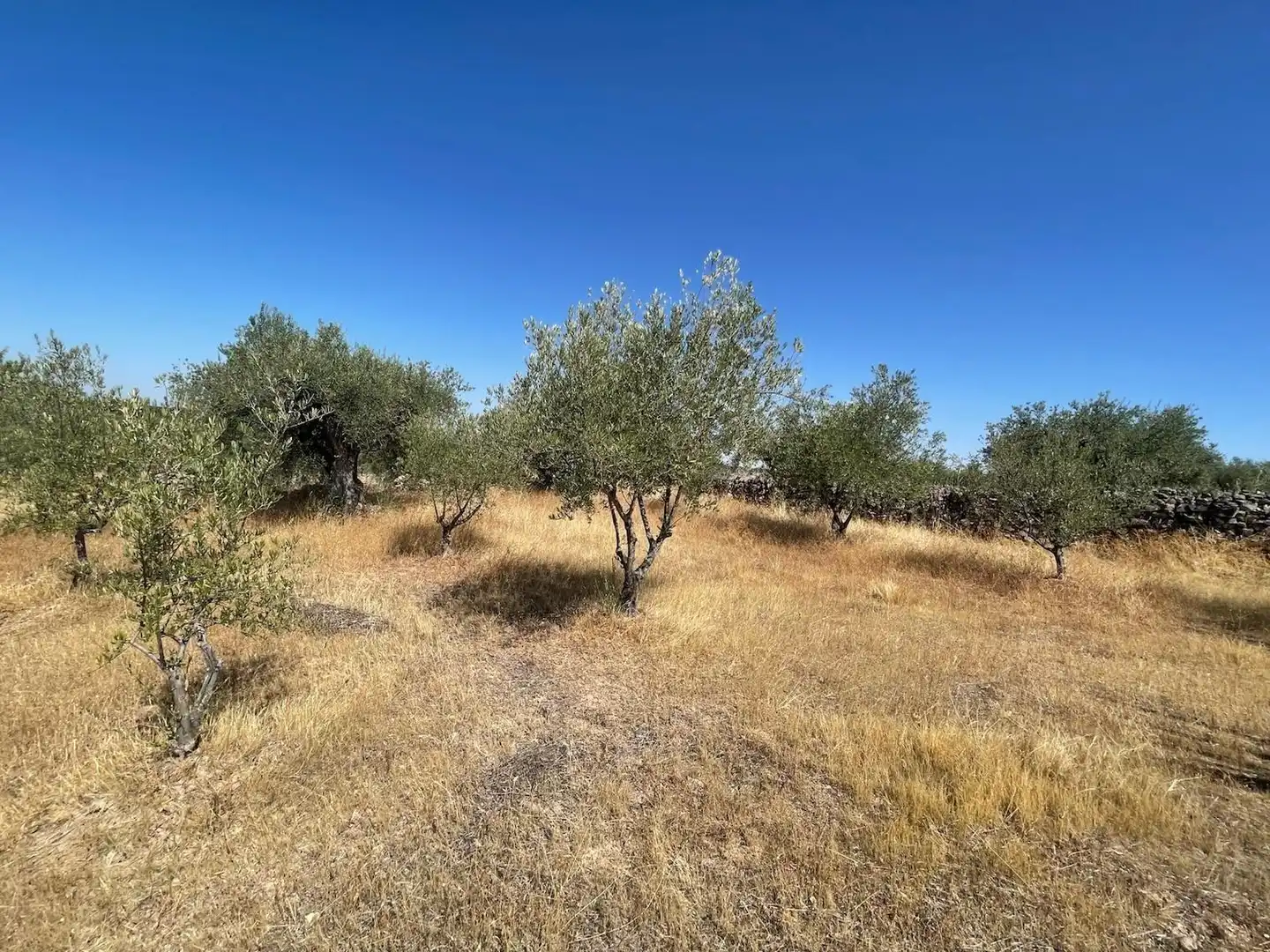 Terreni e lotti in vendita a Valdefuentes, imagen 7