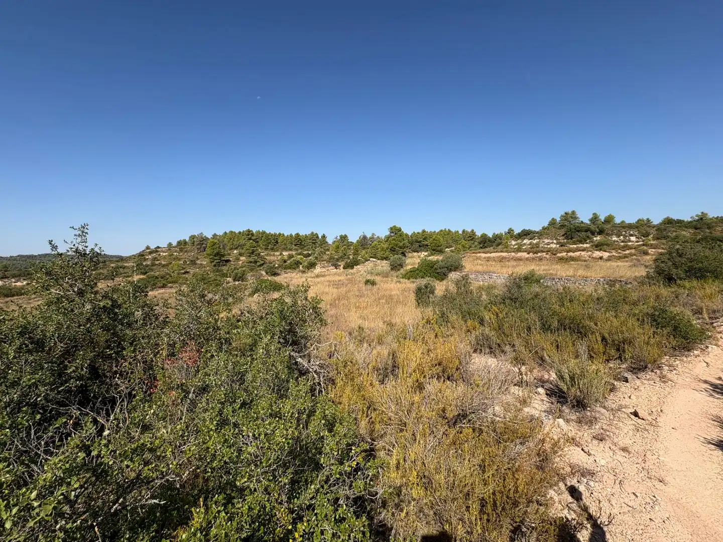 Terreno rustico in vendita a Cervià de Les Garrigues, imagen 41