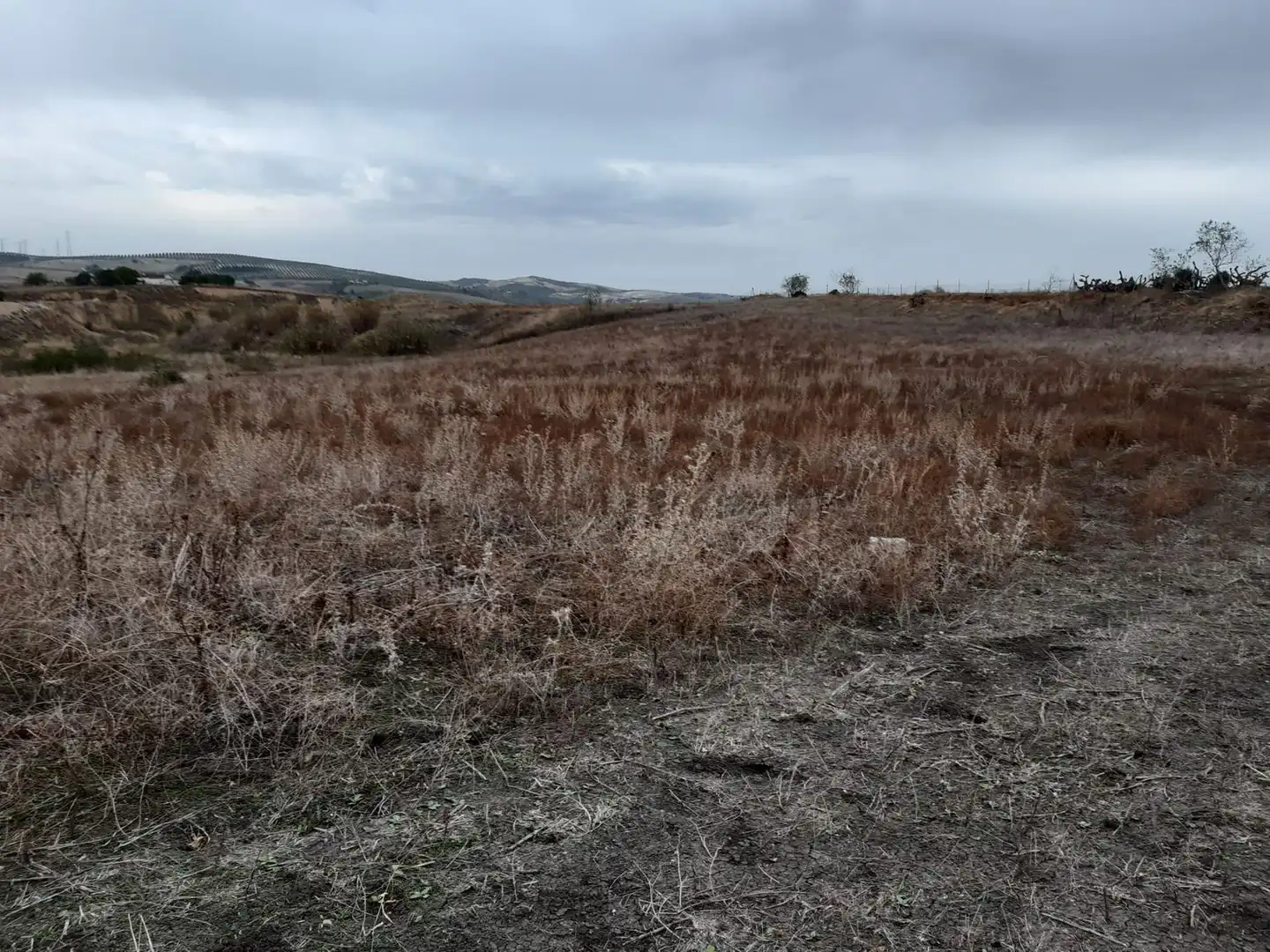 Residencial en venta en Arcos de la Frontera