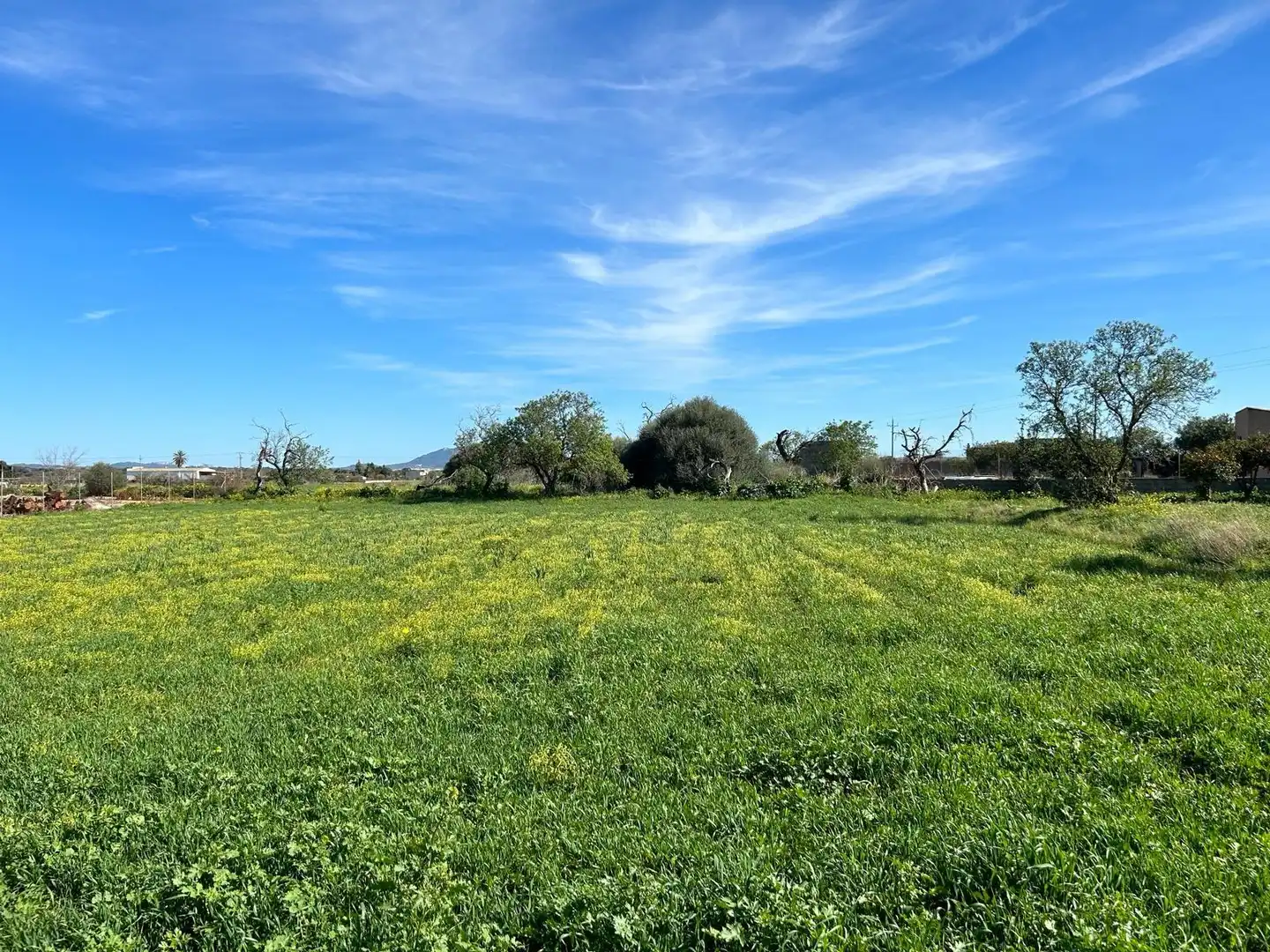 Terrenys i solars en venda a Porreres, imagen 7