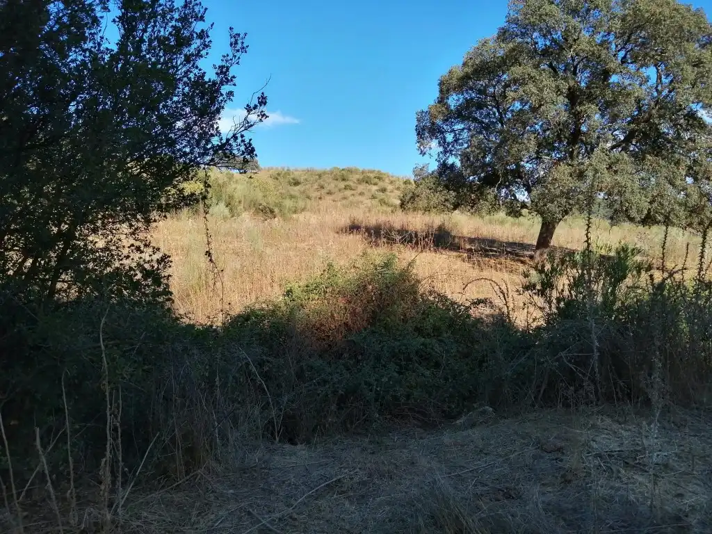 Residential for sale in Morón de la Frontera
