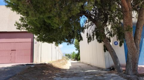 FINCA  RUSTICA CON UNA VIVIENDA, image 4
