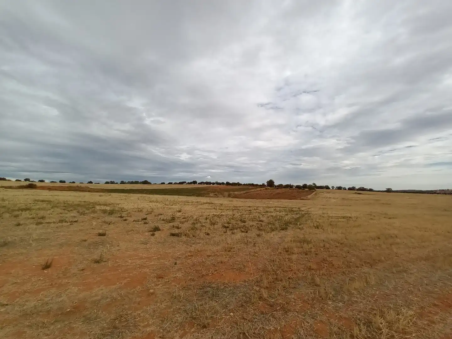 Residencial en venda a Lugar EL PRADO 6, Mondéjar