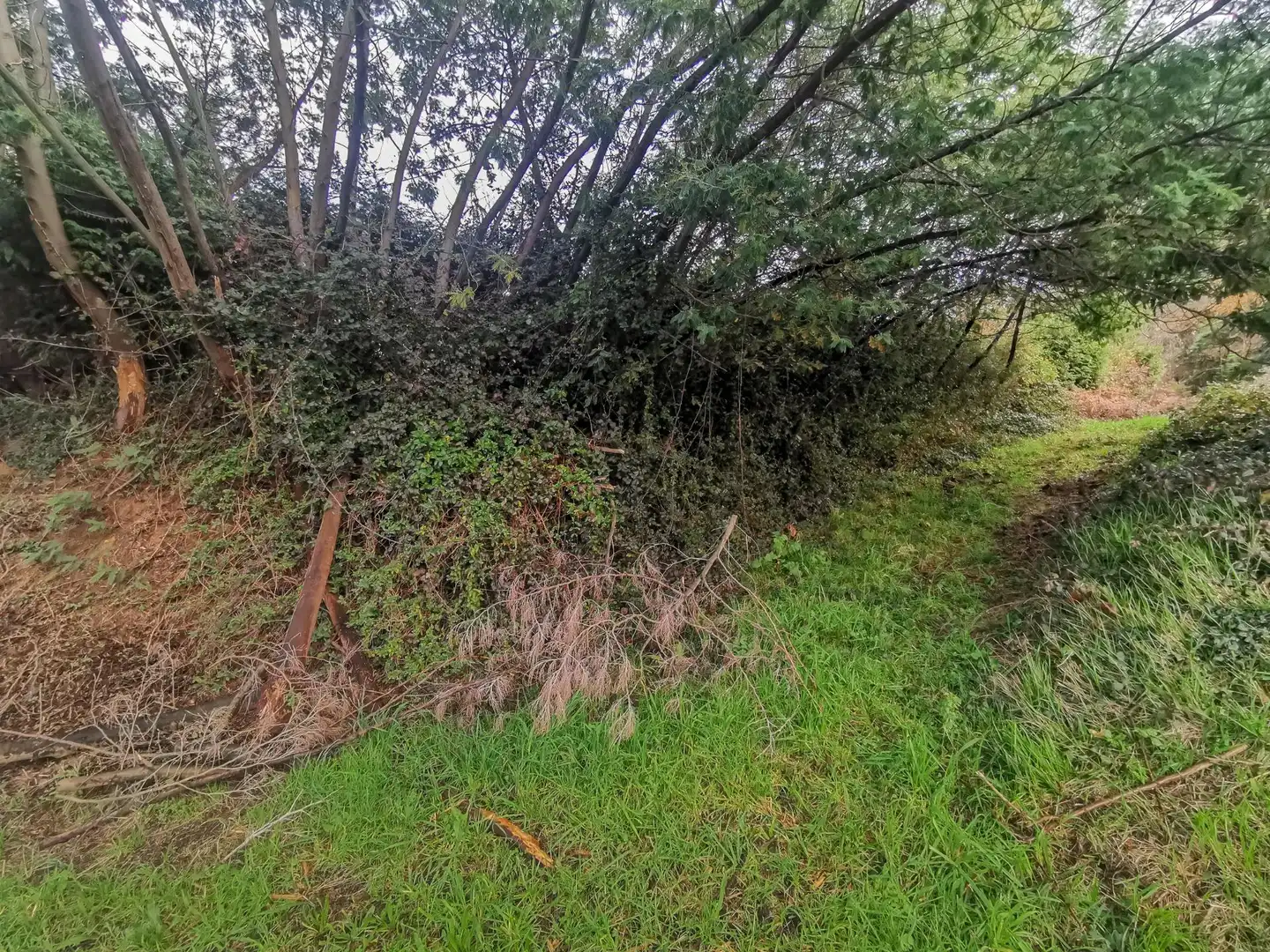 Residential land for sale in Calle Bartolomé Casas 9, imagen 6