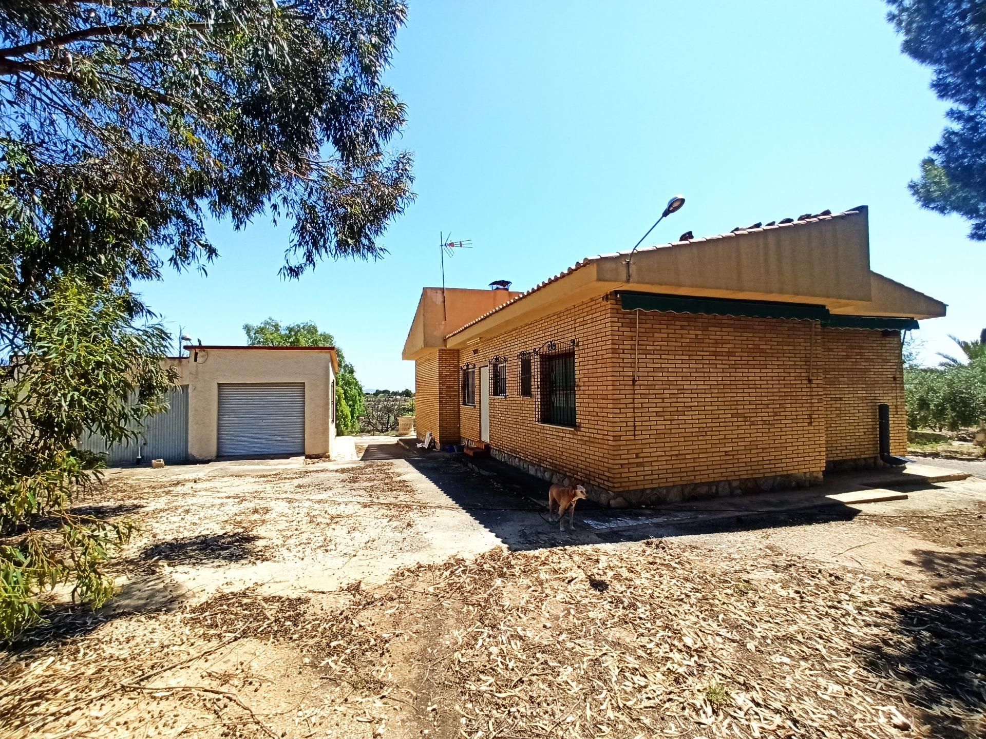 Vista exterior de Casa o xalet en venda en San Vicente del Raspeig / Sant Vicent del Raspeig amb Jardí privat, Terrassa i Traster