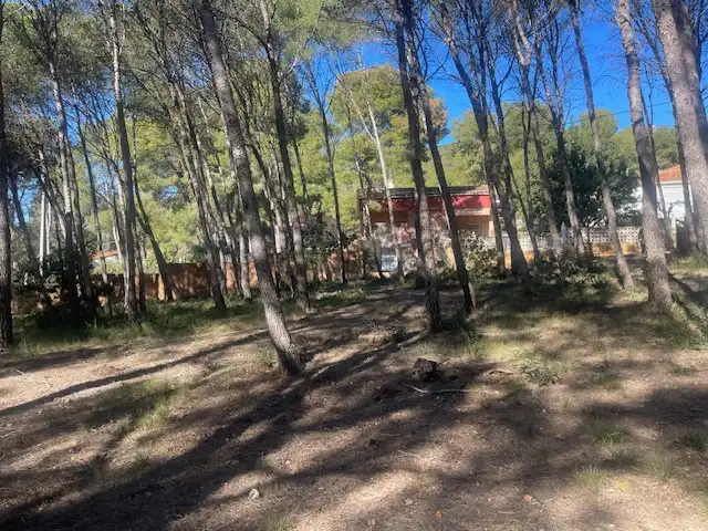 Rural land for sale in Sagunto ciudad, imagen 9