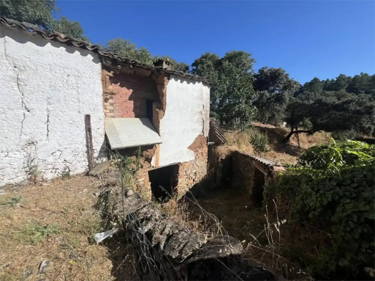 Finca rústica en venta en Jabugo